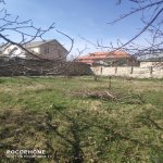 Satılır Torpaq Şəki 1