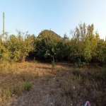 Satılır Torpaq Xaçmaz 7
