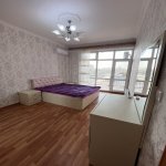 Kirayə (aylıq) 2 otaqlı Yeni Tikili, Nəriman Nərimanov metrosu, Montin qəs., Nərimanov rayonu 13