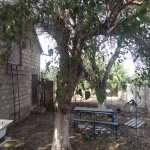 Kirayə (aylıq) 5 otaqlı Bağ evi, Ceyranbatan qəs., Abşeron rayonu 4