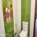 Satılır 6 otaqlı Həyət evi/villa İsmayıllı 37