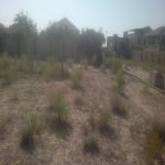 Продажа Участок, Туркян, Хязяр район 5