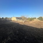 Satılır Torpaq, Buzovna, Xəzər rayonu 1