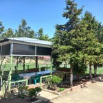 Kirayə (günlük) 4 otaqlı Həyət evi/villa Quba 23