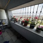 Satılır 4 otaqlı Yeni Tikili, Memar Əcəmi metrosu, 9-cu mikrorayon, Binəqədi rayonu 16