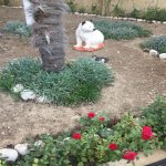 Satılır 5 otaqlı Həyət evi/villa, Sabunçu qəs., Sabunçu rayonu 14