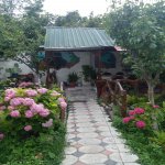 Kirayə (günlük) 3 otaqlı Həyət evi/villa Qax 13