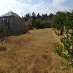 Satılır Torpaq, Saray, Abşeron rayonu 3