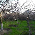 Satılır Torpaq Sumqayıt 21