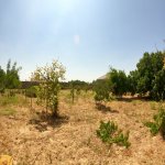 Satılır 3 otaqlı Bağ evi, Koroğlu metrosu, Maştağa qəs., Sabunçu rayonu 17