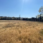 Продажа Участок, Мехеммедли, Абшерон район 6