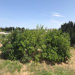 Kirayə (aylıq) 3 otaqlı Bağ evi, Novxanı, Abşeron rayonu 5