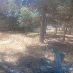 Satılır 6 otaqlı Bağ evi, Mərdəkan, Xəzər rayonu 38