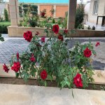 Satılır 5 otaqlı Həyət evi/villa, Fatmayi, Abşeron rayonu 17