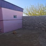 Kirayə (aylıq) 1 otaqlı Həyət evi/villa, Binə qəs., Xəzər rayonu 3