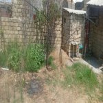 Satılır 1 otaqlı Həyət evi/villa Sumqayıt 3