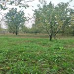 Satılır 4 otaqlı Həyət evi/villa Xaçmaz 17