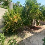 Kirayə (aylıq) 5 otaqlı Bağ evi, Bilgəh qəs., Sabunçu rayonu 19