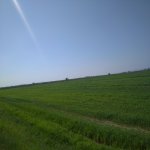 Продажа Участок, пос. Зыг, Сураханы район 1