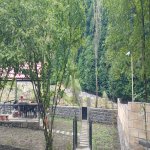 Kirayə (günlük) 4 otaqlı Həyət evi/villa Qax 10