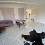 Kirayə (aylıq) 4 otaqlı Bağ evi, Mərdəkan, Xəzər rayonu 7