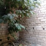 Satılır 3 otaqlı Həyət evi/villa, Zabrat qəs., Sabunçu rayonu 6