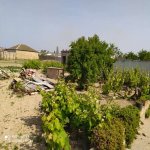 Satılır 6 otaqlı Bağ evi, Bilgəh qəs., Sabunçu rayonu 9