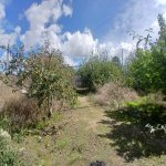 Продажа Участок, пос. Маштага, Сабунчу район 4