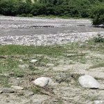 Satılır Torpaq Qusar 13