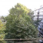 Satılır 3 otaqlı Köhnə Tikili, Elmlər akademiyası metrosu, Yasamal qəs., Yasamal rayonu 3