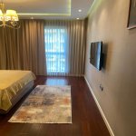 Kirayə (aylıq) 3 otaqlı Yeni Tikili, 28 May metrosu, Port Baku, Nəsimi rayonu 10