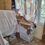 Satılır 3 otaqlı Köhnə Tikili, Gənclik metrosu, Nərimanov rayonu 6