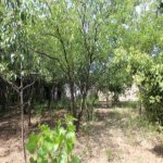 Satılır 4 otaqlı Həyət evi/villa, Savalan qəs., Sabunçu rayonu 7