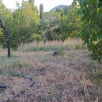 Satılır Torpaq Şamaxı 19