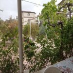 Kirayə (aylıq) 3 otaqlı Bağ evi, Mərdəkan, Xəzər rayonu 18