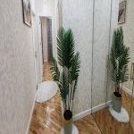 Kirayə (aylıq) 2 otaqlı Yeni Tikili, Nəriman Nərimanov metrosu, Nərimanov rayonu 7