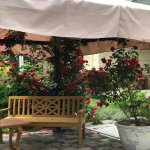 Kirayə (aylıq) 10 otaqlı Bağ evi, Mərdəkan, Xəzər rayonu 8