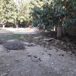 Satılır Torpaq, Avtovağzal metrosu, Sulutəpə qəs., Binəqədi rayonu 2