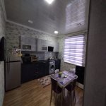 Satılır 4 otaqlı Həyət evi/villa, Həzi Aslanov metrosu, kənd Əhmədli, Xətai rayonu 12