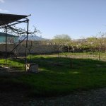 Satılır 4 otaqlı Bağ evi Mingəçevir 7