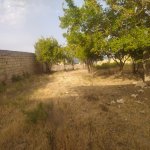 Satılır Torpaq, Qobustan qəs., Qaradağ rayonu 3