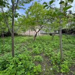 Продажа 3 комнат Дома/Виллы Исмаиллы 6
