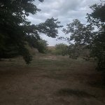 Satılır Torpaq, Novxanı, Abşeron rayonu 12
