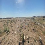 Satılır Torpaq, Novxanı, Abşeron rayonu 2