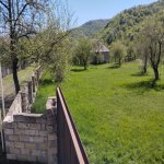 Satılır Torpaq İsmayıllı 8