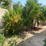 Kirayə (aylıq) 5 otaqlı Bağ evi, Bilgəh qəs., Sabunçu rayonu 19