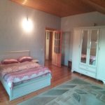 Kirayə (günlük) 5 otaqlı Həyət evi/villa Şəki 10