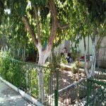 Kirayə (aylıq) 7 otaqlı Bağ evi, Hövsan qəs., Suraxanı rayonu 3