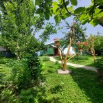 Kirayə (günlük) 2 otaqlı Həyət evi/villa Qəbələ 9