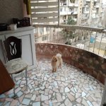 Satılır 4 otaqlı Köhnə Tikili, İnşaatçılar metrosu, Yeni Yasamal qəs., Yasamal rayonu 17